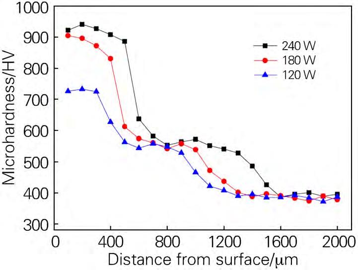 1708901518914645.jpg t4.jpg