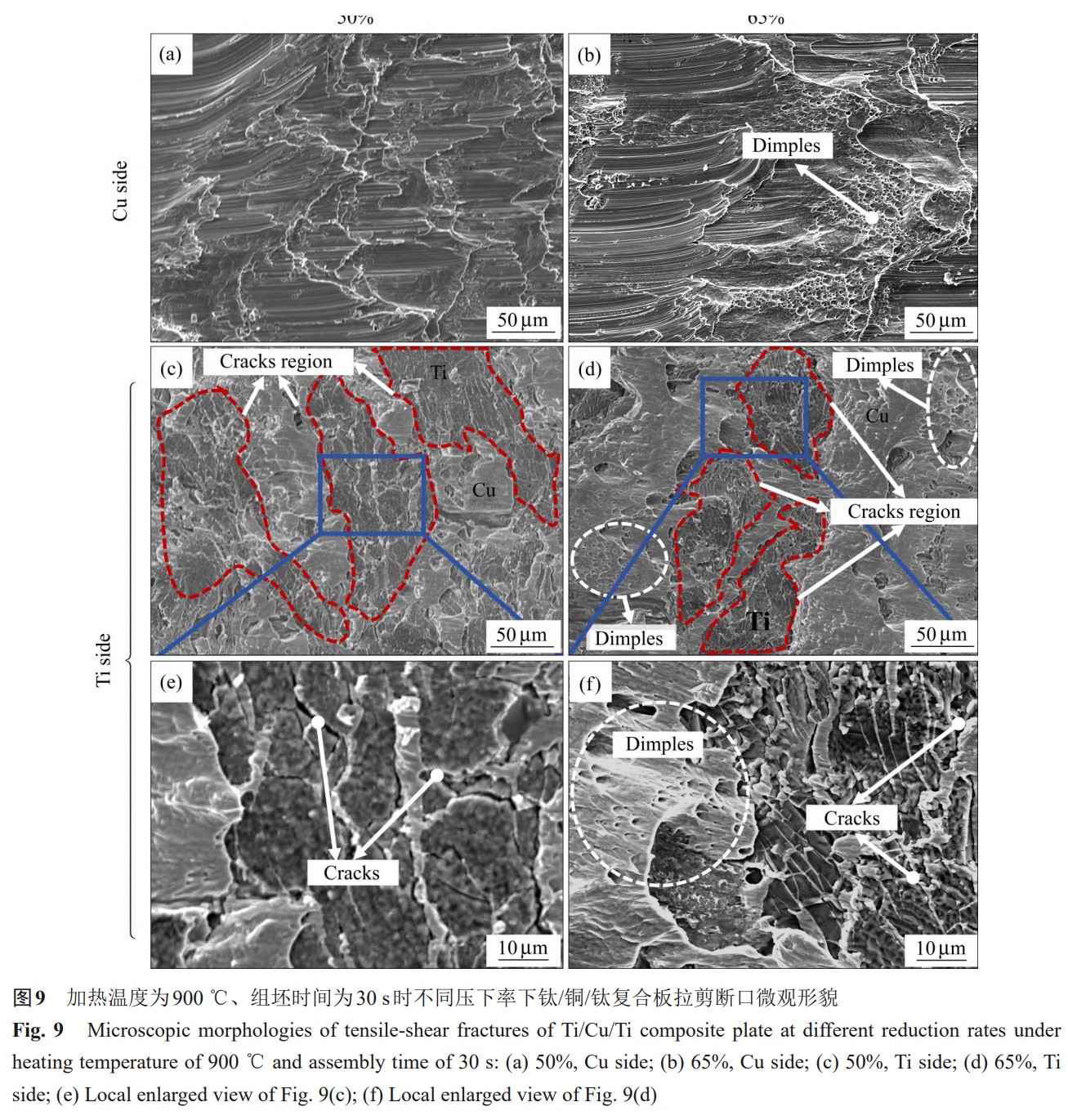 1766137490162701.jpg 9.jpg