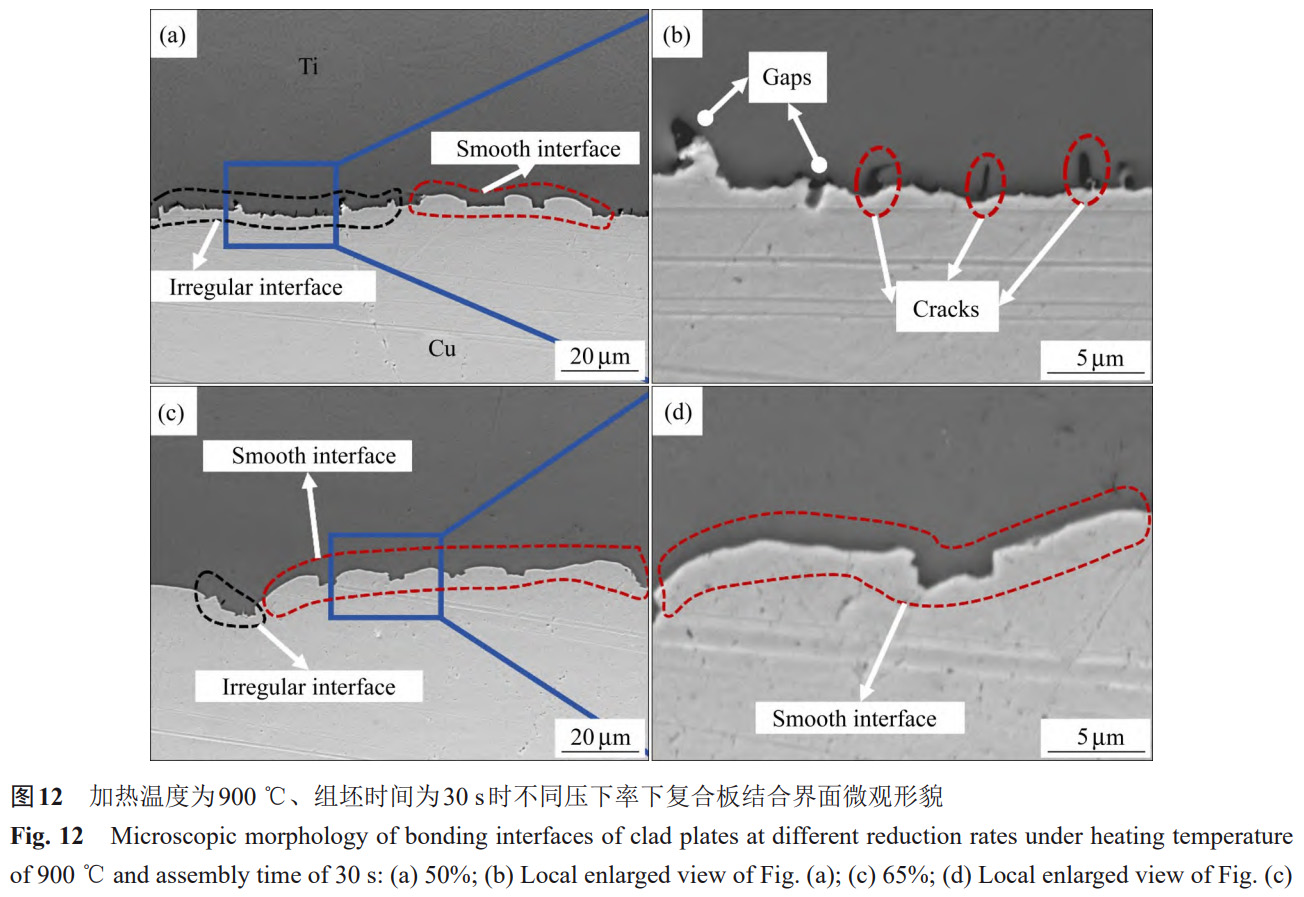 1766137542932456.jpg 12.jpg