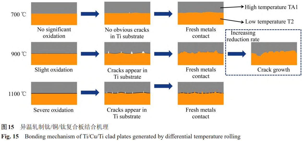 1766137573797454.png 15.png